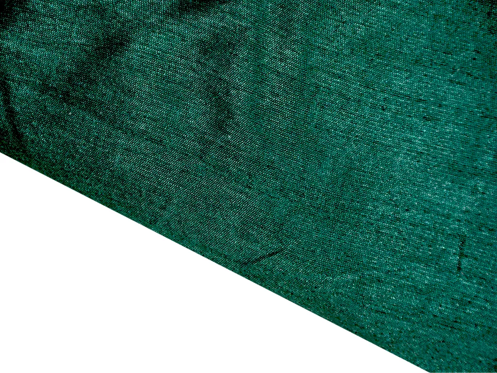 Dark Green Plain Bangalore Raw Silk Fabric